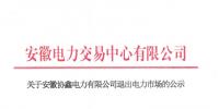 安徽1家具有發(fā)電業(yè)務(wù)的售電公司退出電力市場