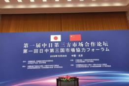 安倍晉三訪華 協(xié)鑫、天合和晶科為光伏行業(yè)長臉了！