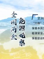 讀圖｜2020政府工作報(bào)告中這些內(nèi)容，和能源電力有關(guān)！