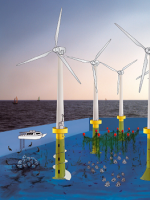 參考 | “海上風(fēng)電+海洋牧場(chǎng)” 精彩圖片分享！